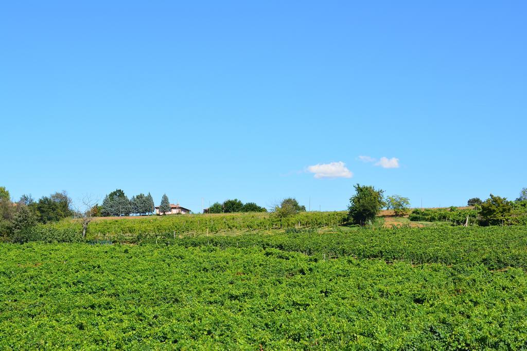 Le Stanze Di Bacco Villa Monteveglio Exteriör bild