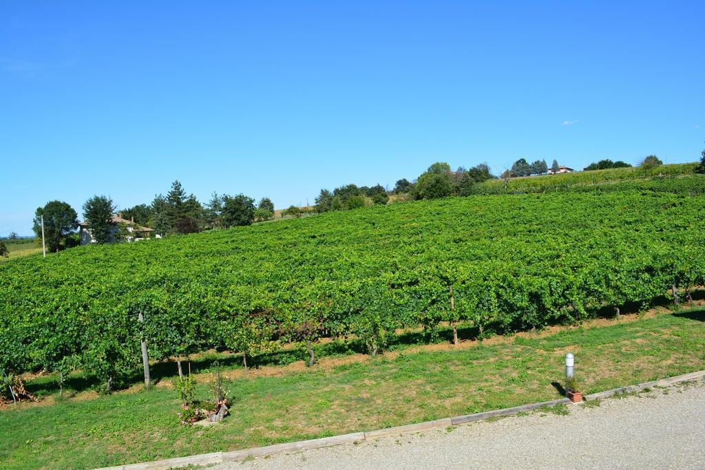 Le Stanze Di Bacco Villa Monteveglio Exteriör bild