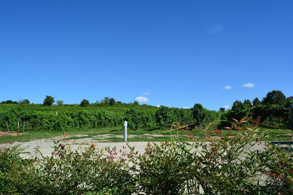 Le Stanze Di Bacco Villa Monteveglio Exteriör bild