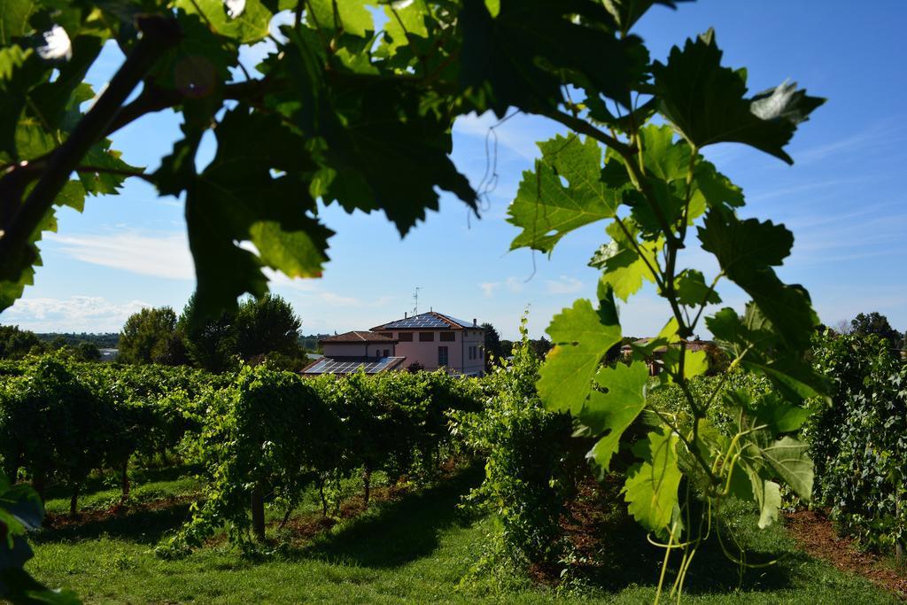 Le Stanze Di Bacco Villa Monteveglio Exteriör bild