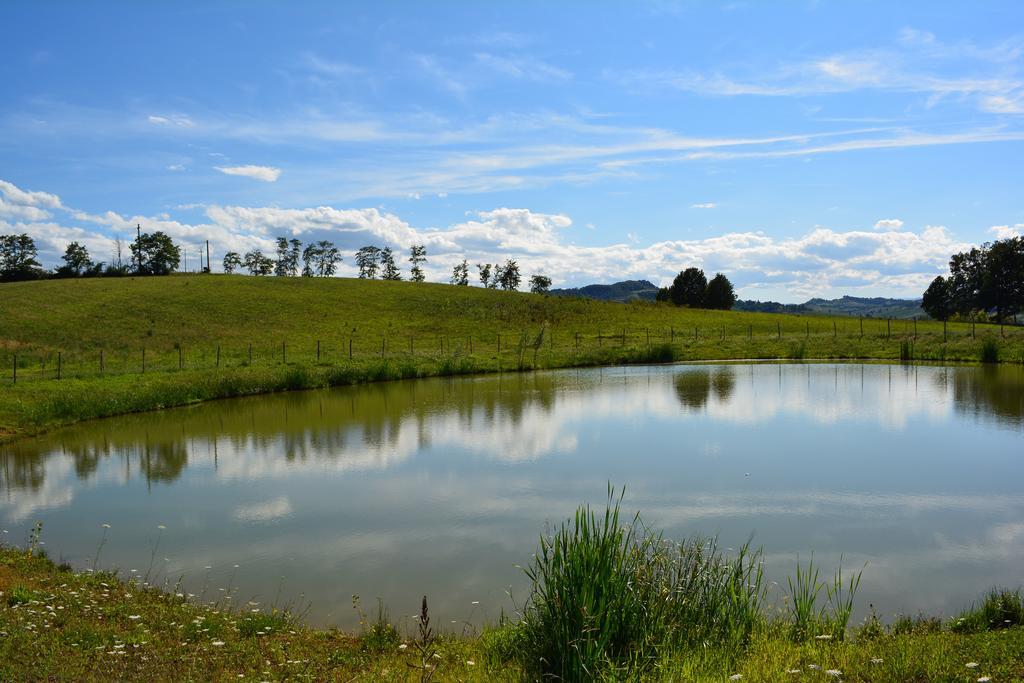 Le Stanze Di Bacco Villa Monteveglio Exteriör bild