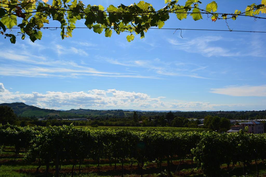 Le Stanze Di Bacco Villa Monteveglio Exteriör bild