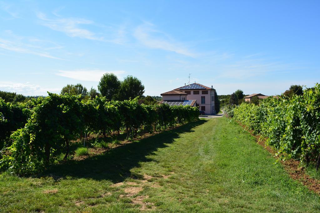 Le Stanze Di Bacco Villa Monteveglio Exteriör bild